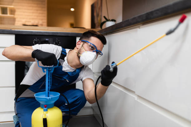Best Best Pest Control Companies  in Parowan, UT