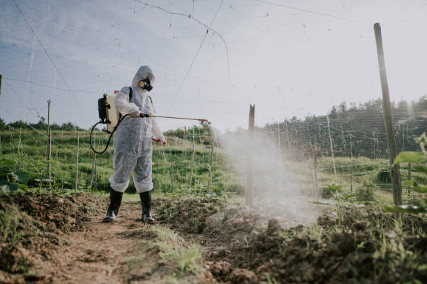 Best Commercial Pest Control Services  in Parowan, UT