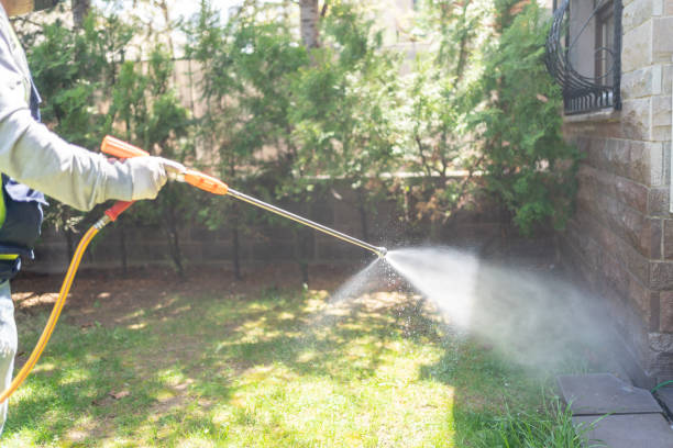 Best Pest Control Near Me  in Parowan, UT
