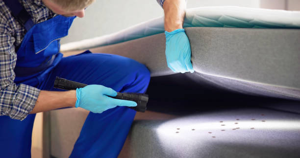 Best Ant Control Services  in Parowan, UT