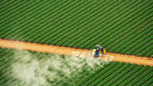 Best Pest Removal Services  in Parowan, UT