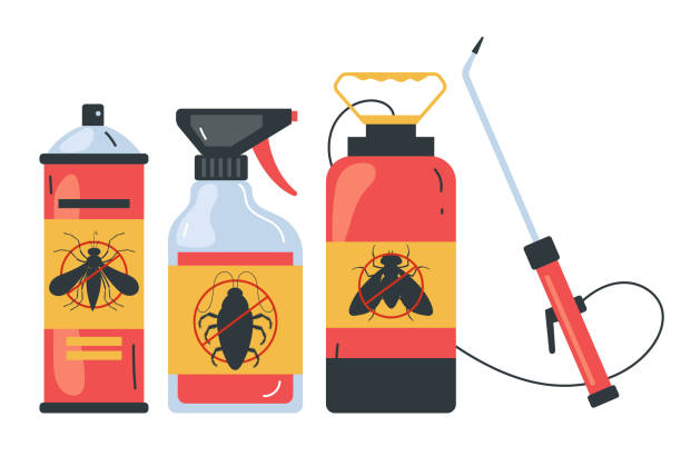 Best Termite Control Services  in Parowan, UT