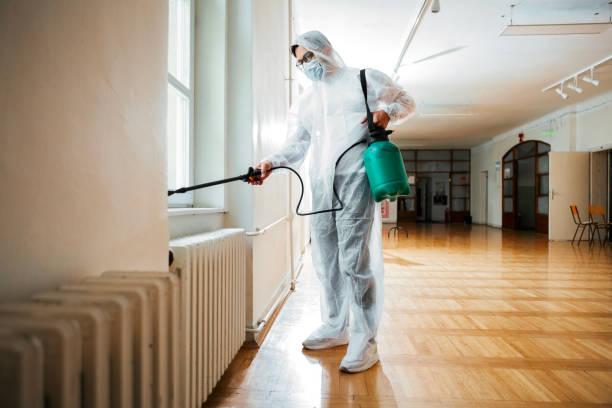 Best Local Pest Control Services  in Parowan, UT