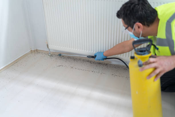 Best Ant Control Services  in Parowan, UT