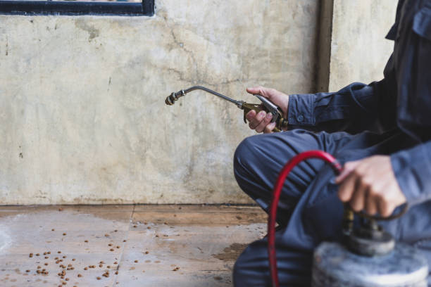 Best Pest Inspection Near Me  in Parowan, UT